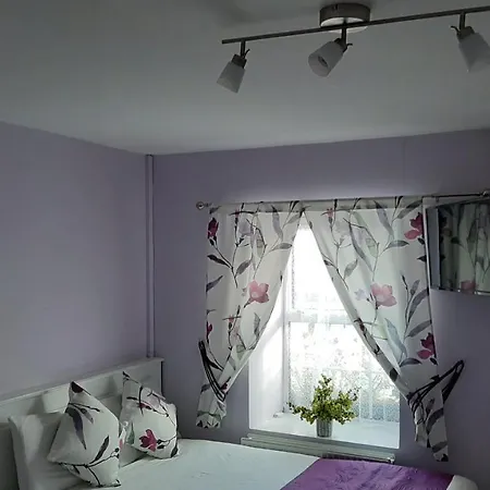 The 'Rafter'S Gastropub