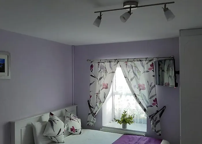 The 'Rafter'S Gastropub