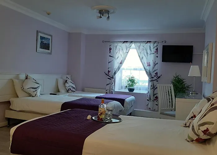 The 'rafter's Gastropub Kilkenny